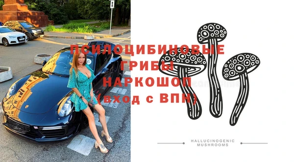 эйфоретик Алексеевка