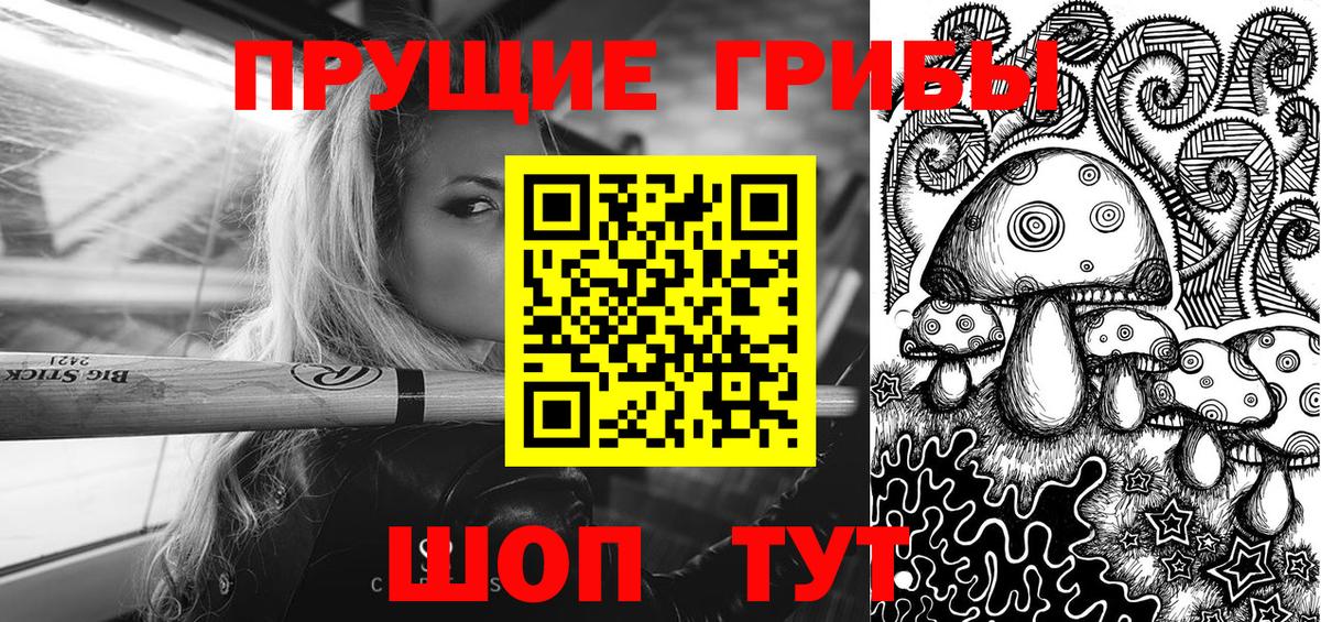 Псилоцибиновые грибы Cubensis  Вход с VPN  Махачкала 
