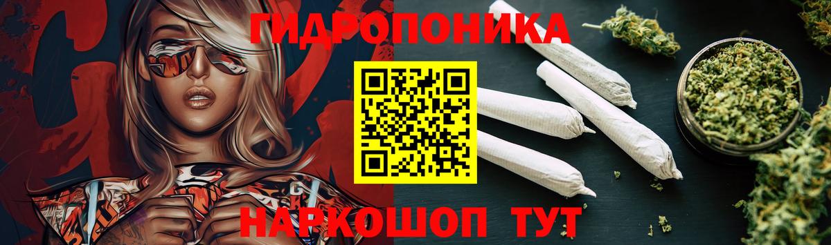 Бошки Шишки конопля Махачкала